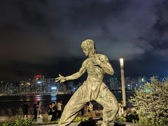 -星光大道