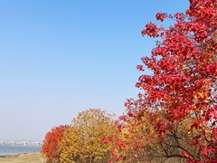 -艾溪湖湿地公园
