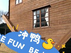 -金山农民画村-枫泾波兰倒置屋