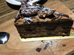 -D STAR COFFEE帝星咖啡