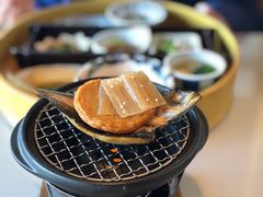 -滨千鸟之汤 海舟