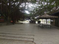 -大嶝英雄三岛战地观光园