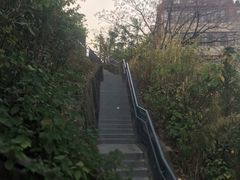 -佛山华盖山公园
