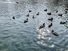 -水磨沟公园