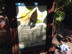 -三亚珠江南田温泉度假区