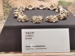 -周口店北京人遗址公园