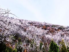 -定都峰