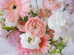 -谷咖啡·鲜花绿植花园餐厅