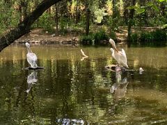 -济南野生动物世界