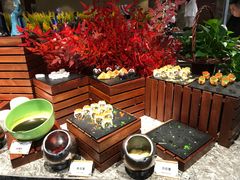 -商城蓝海大饭店·蓝钻国际美食自助百汇(双岭路店)