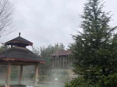 -汤泊温泉度假村