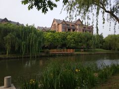 -新江湾城公园