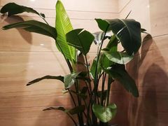 -广州天河合景福朋喜来登酒店 · 聚味轩中餐厅