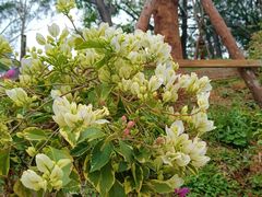 -胡里山炮台