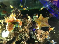 -华夏文旅海洋公园