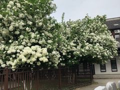-常熟方塔园