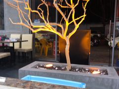 -顺德哥卜卜贝(旗舰店)