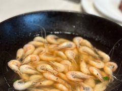 太湖白虾-太湖饭店·寄畅轩中餐厅