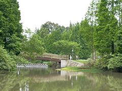 -桤木河湿地公园