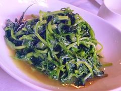 豌豆尖-渝信川菜(南滨店)