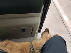 -黄河小浪底水利枢纽风景区