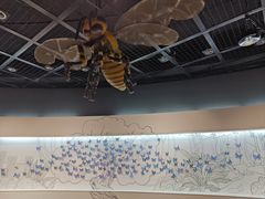 -陕西自然博物馆