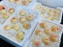 -西郊国际农产品交易中心