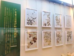 -广东中医药博物馆
