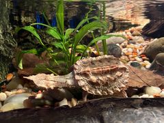 -上海海洋水族馆