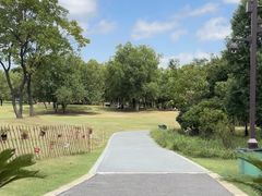 -盘龙城国家考古遗址公园