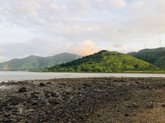 -盐洲岛