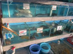 -考记泥焗鸡农庄·海鲜(北洛秘境店)