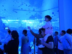 -石家庄极地海洋世界