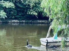 -合肥野生动物园