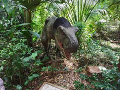 -海南热带野生动植物园