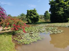 -中国科学院西双版纳热带植物园