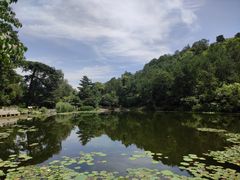 -香山公园