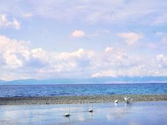 -赛里木湖风景名胜区