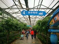-世界地热博览园