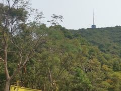 -梧桐山风景名胜区