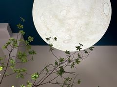 -阿吾罗·月咏精致日料(港汇恒隆广场店)