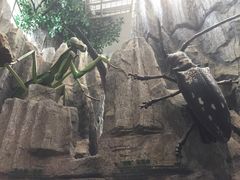 -上海科技馆(地铁站)