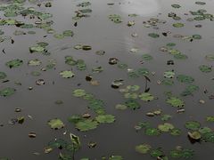 -木守西溪溪隐餐厅