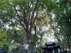-丰都鬼城名山景区