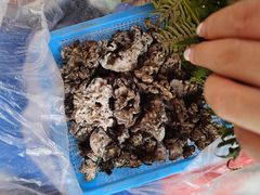 -杨林闻老三酸菜鱼(总店)