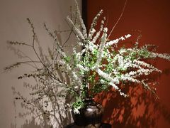 -江南小菜(东辰御龙湾店)