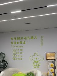 -凡碧诗毛孔清洁收细