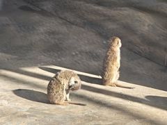 -秦皇岛野生动物园
