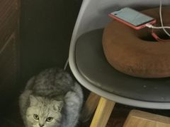 -不舍昼夜咖啡馆