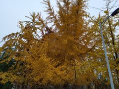 -辽宁大学(崇山校区)